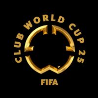 㱭С ͼvsʥն20250624