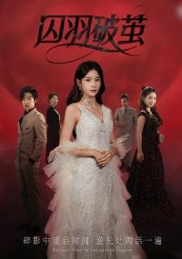 �����Ƽ�