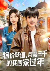物价贬值,月薪三千的我回家过年
