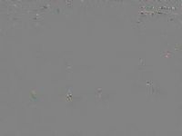 �г����� �Ϻ�����VS�ൺ��ţ 20240721