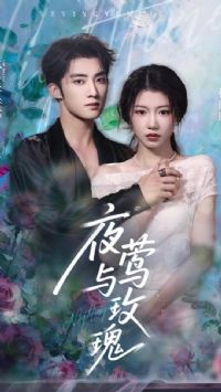 õ��С�����Լƻ�