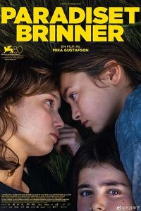 ������ȼ��