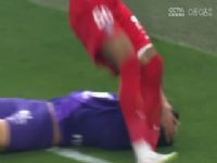 �������� ����VSͼ¬�� 20250407