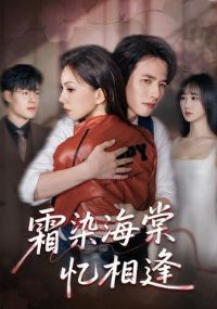 ˪Ⱦ���������