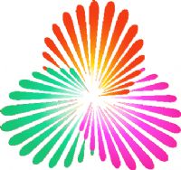 ȫ�˻�Ů���ʸ��� A��-����77.88�Ĵ�20250812